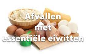 afvallen eiwitten