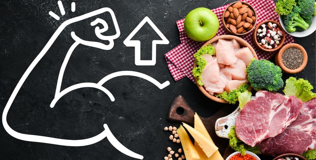 beste voedingssupplementen voor spiermassa