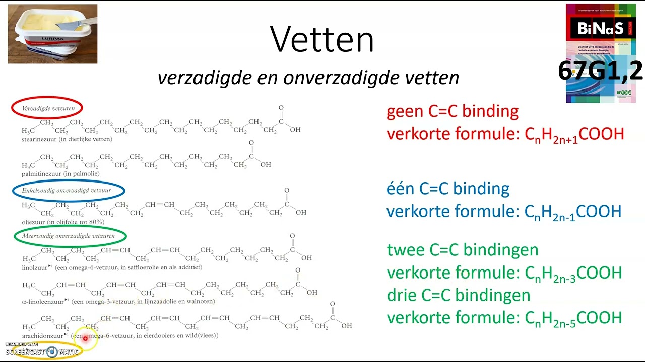 onverzadigde vetten